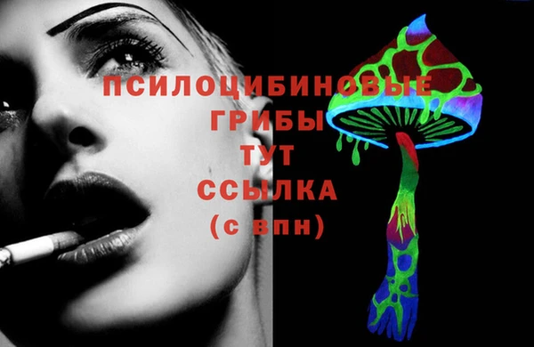 твердый Кулебаки