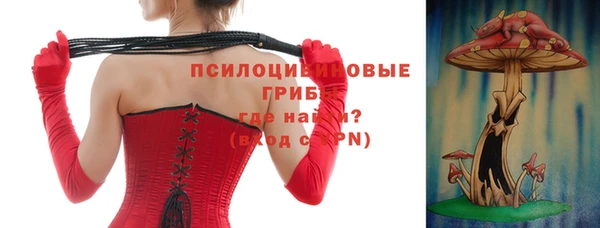 ГАЛЛЮЦИНОГЕННЫЕ ГРИБЫ Абинск