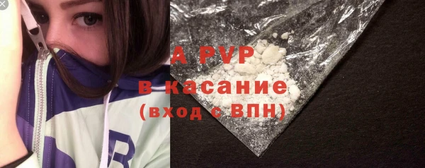 spice Абаза
