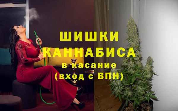 ГАЛЛЮЦИНОГЕННЫЕ ГРИБЫ Абинск
