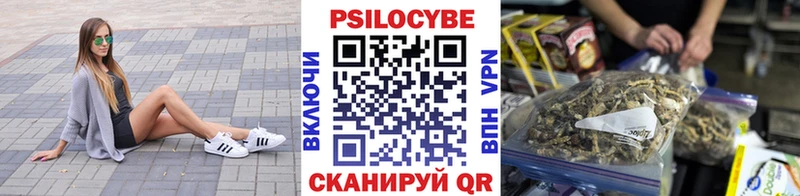 Псилоцибиновые грибы Psilocybine cubensis  Комсомольск-на-Амуре 